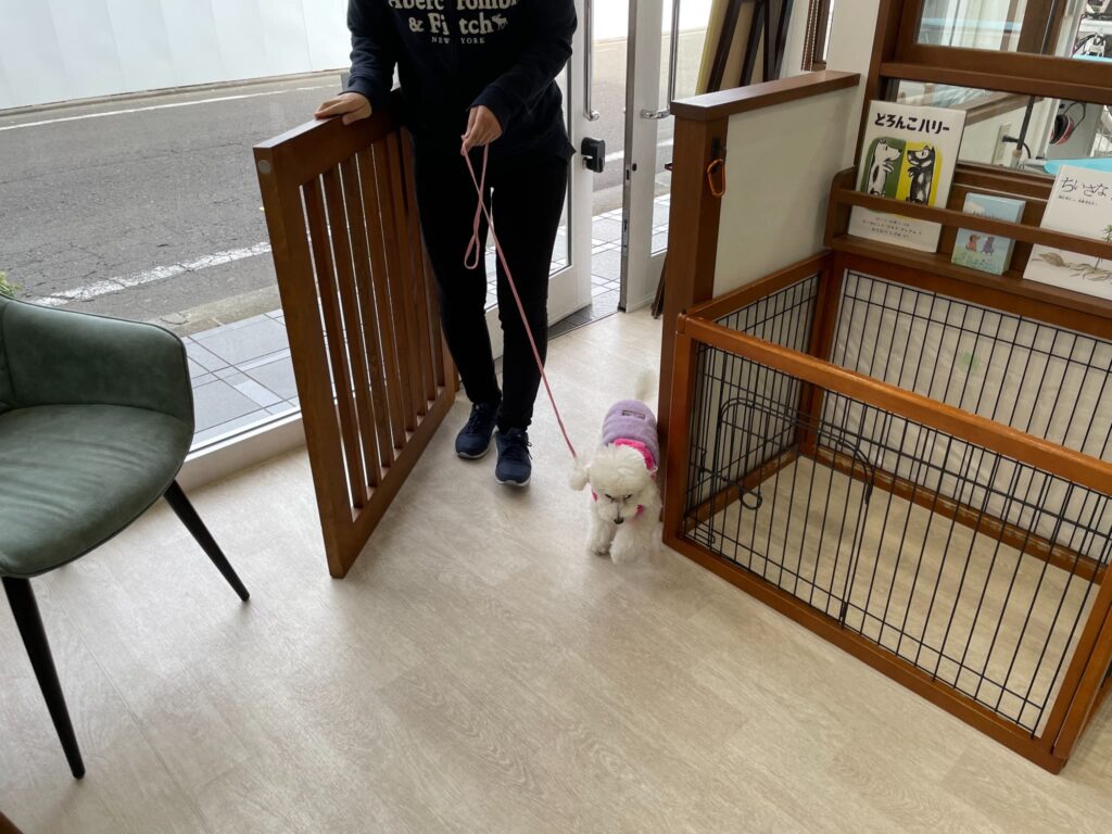 トリミング施術の流れ1