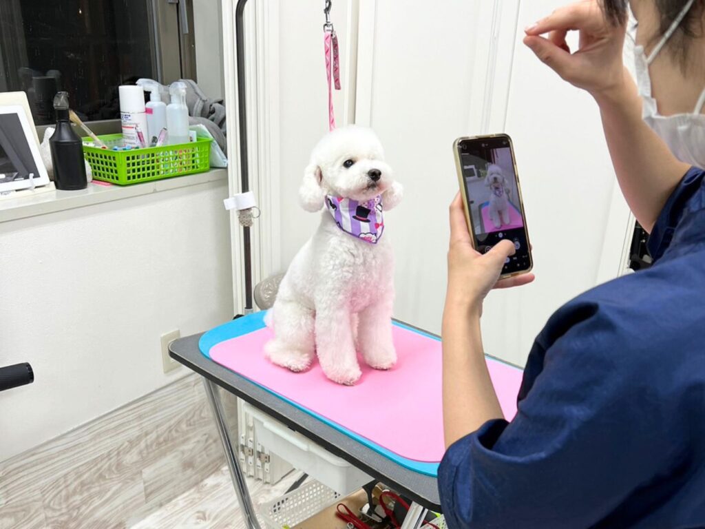 トリミング施術の流れ22