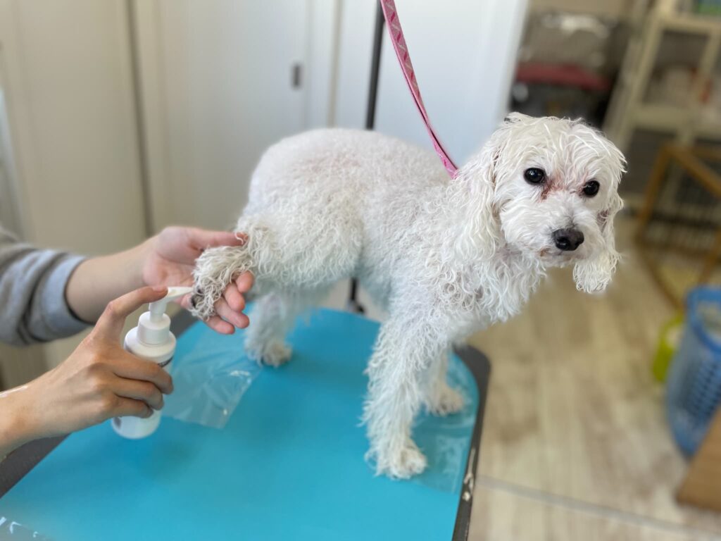 トリミング施術の流れ16