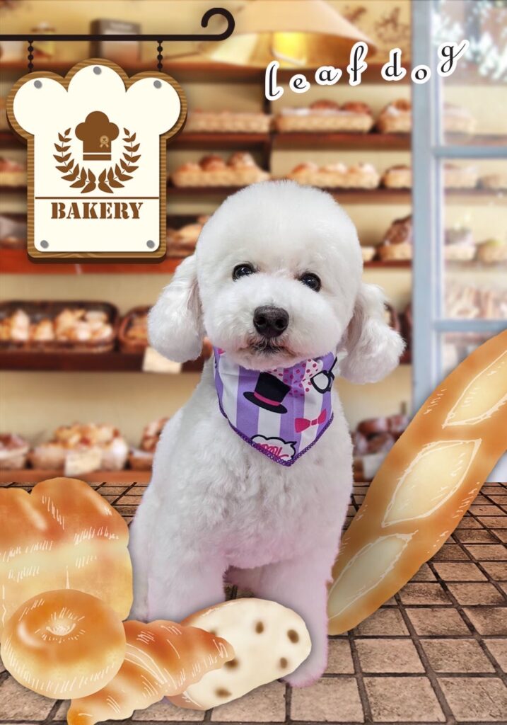 トリミング施術の流れ23