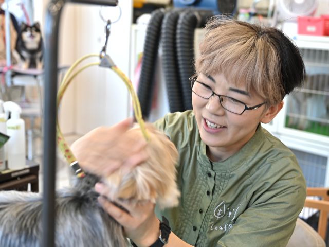 トリマーが笑顔でわんちゃんに話しかけている