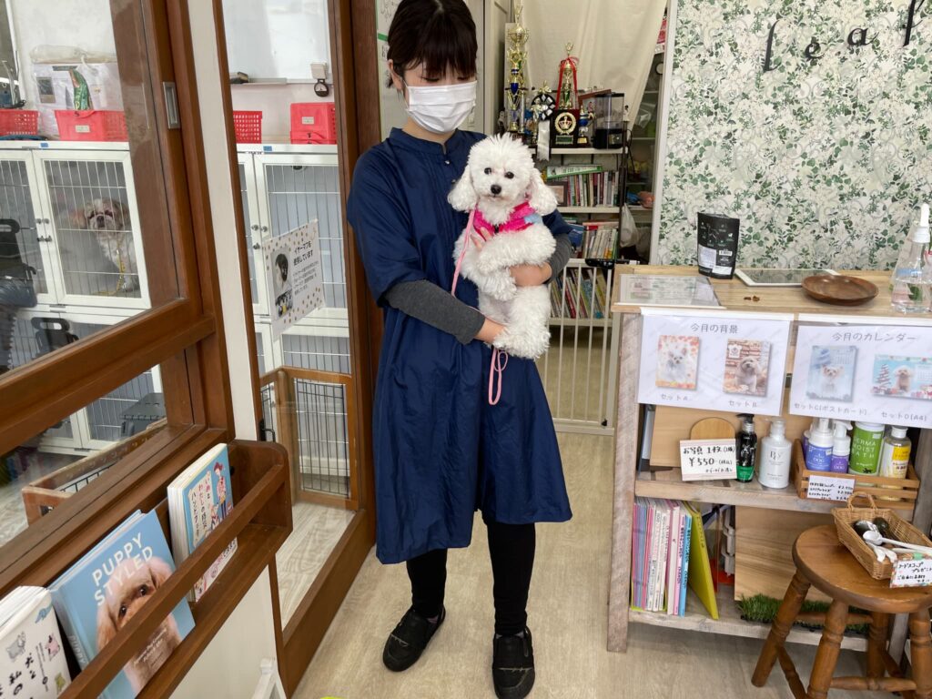 トリミング施術の流れ3