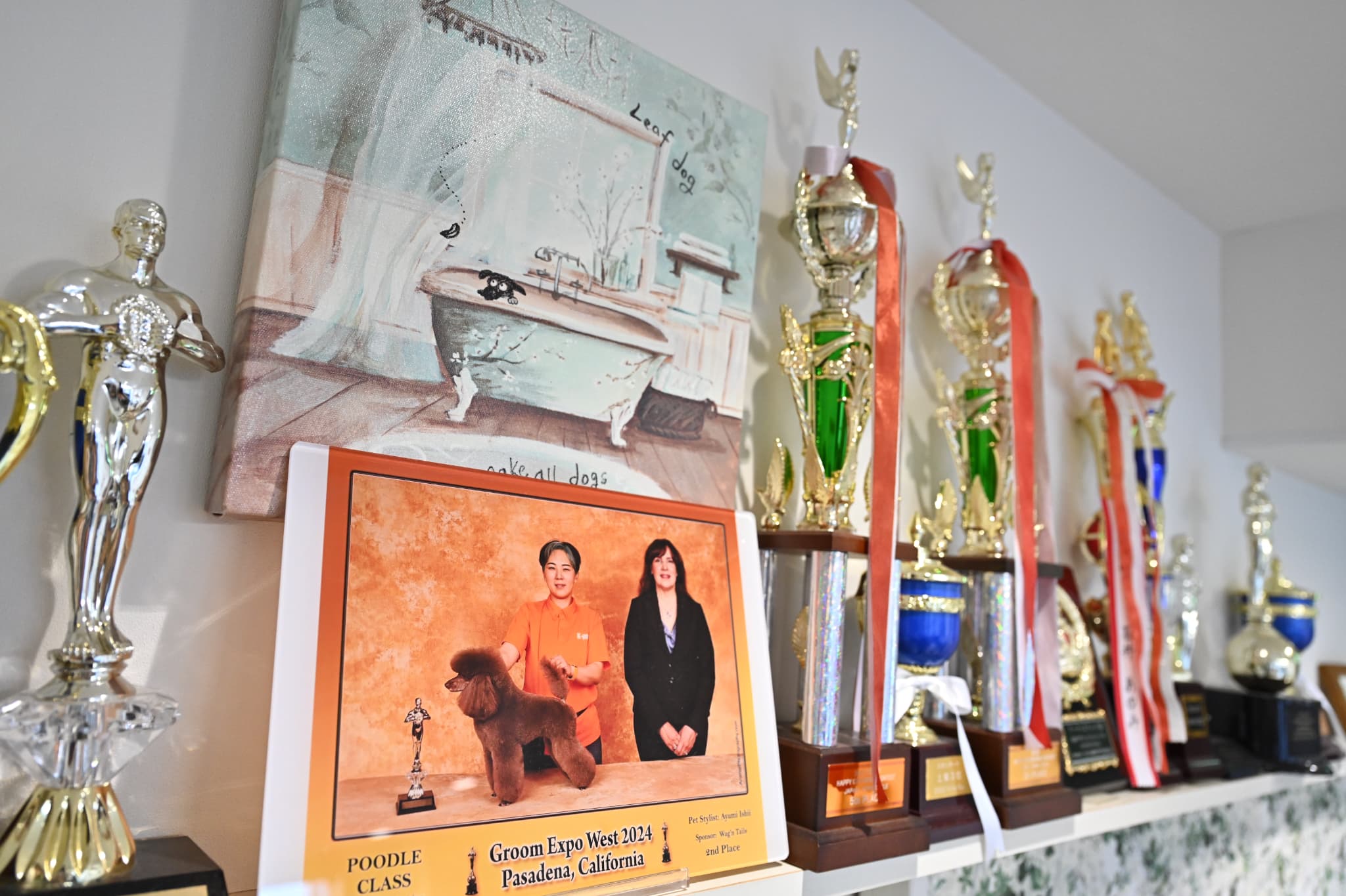 たくさんのトロフィー