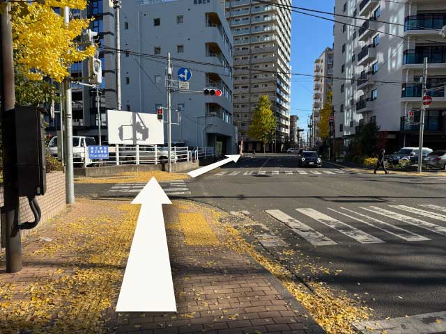 横断歩道と信号