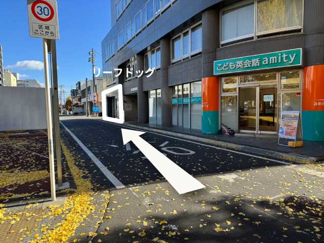 リーフドッグの目印