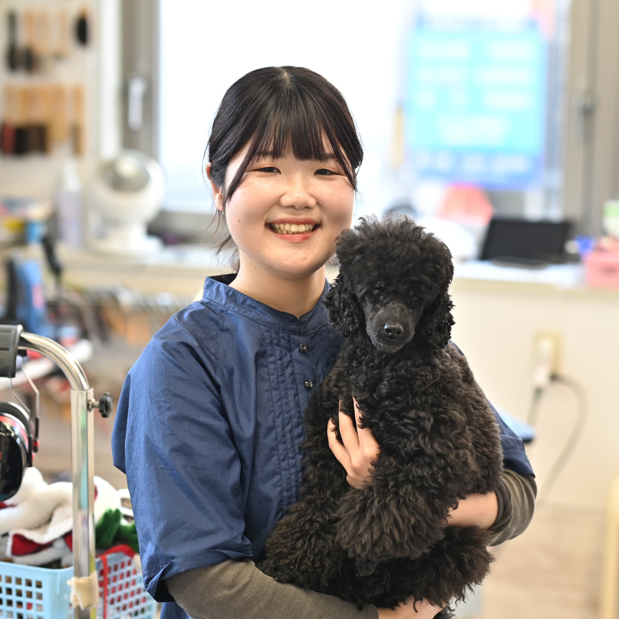 トリマー:玉手 愛